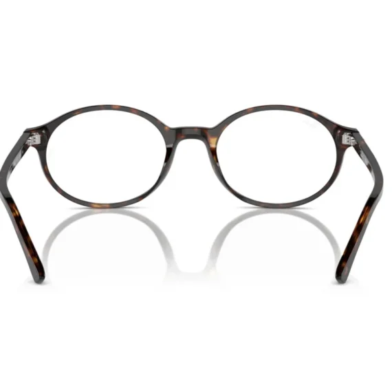 ray-ban-rx-5429-2012-3