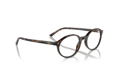 ray-ban-rx-5429-2012-7