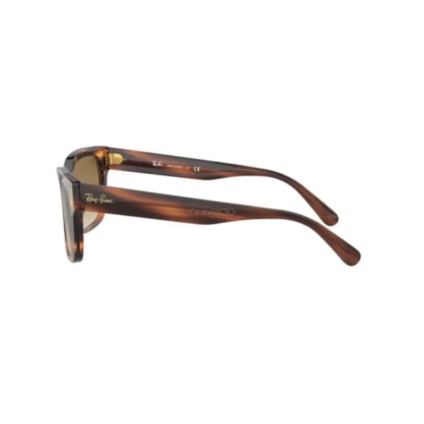 Óculos de Sol Ray-Ban 2190 954/51 55 - Imagem 2